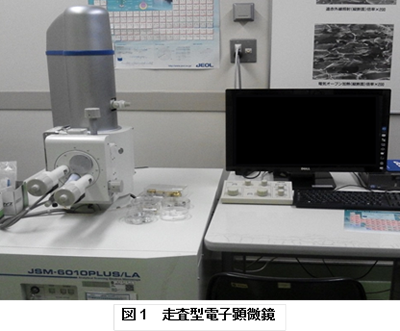 �}�P�@��\�I�Ȗa���@�i�C���[�W�}�j