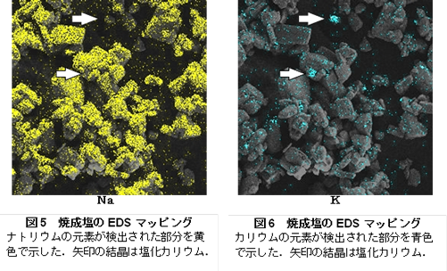 �}�R�@�@�ےf�ʊg��}�i���j�A�{�r�����@�ہi���j�A����t�F���g�i�E�j