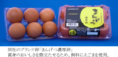 ���Ђ̃u�����h���u�܂񂰂Z�����v